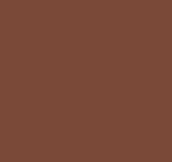 PMS4705 Pantone Brown Gloss Enamel Custom Spray Paint 300 Grams