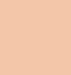 PMS474 Pantone Custom Spray Paint