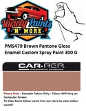 PMS479 Brown Pantone Gloss Enamel Custom Spray Paint 300 Grams