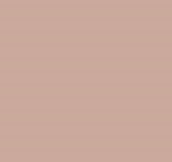 PMS480 Pantone Custom Spray Paint
