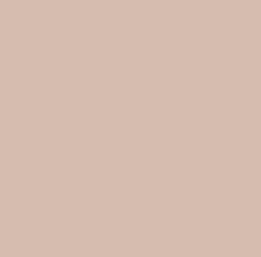 PMS481 Pantone Custom Spray Paint