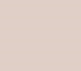 PMS482 Pantone Custom Spray Paint