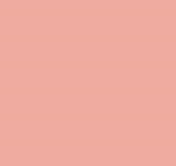 PMS487 Pantone Custom Spray Paint