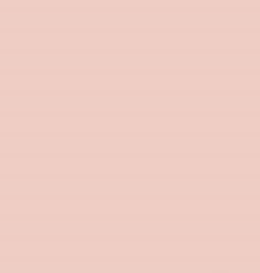 PMS489 Pantone Custom Spray Paint