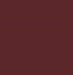 PMS490 Burgundy Satin Enamel Pantone Custom Spray Paint 300 Grams