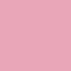 PMS494 Pantone Custom Spray Paint