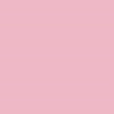 PMS495 Pantone Custom Spray Paint