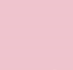 PMS496 Pantone Custom Spray Paint