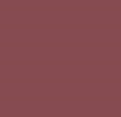 PMS4985 Pantone Custom Spray Paint