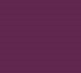 PMS511 Pantone Purple Gloss Enamel Custom Spray Paint 300 Grams