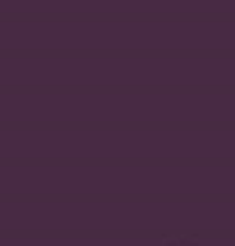 PMS518 Pantone Custom Gloss Enamel Spray Paint 300 Grams