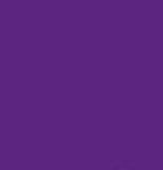 PMS526 Pantone Custom Spray Paint 300 Grams