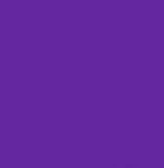 PMS527 Pantone Custom Spray Paint 300 Grams
