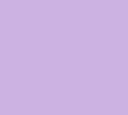 PMS530 Pantone Custom Spray Paint 300 Grams