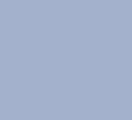 PMS536 Pantone Custom Spray Paint 300 Grams