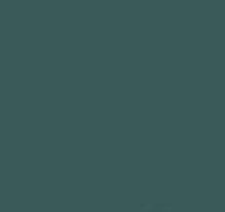 PMS5477 Pantone Custom Spray Paint 300 Grams