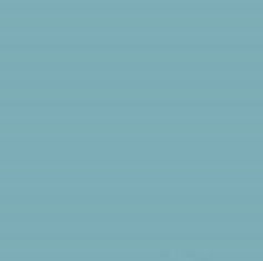 PMS5493 Pantone Custom Spray Paint 300 Grams