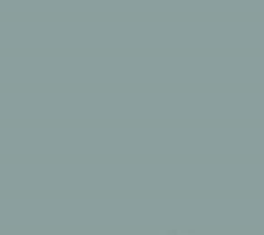 PMS5497 Pantone Custom Spray Paint 300 Grams