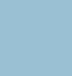 PMS551 Pantone Custom Spray Paint 300 Grams