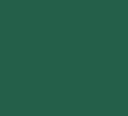 PMS554 Pantone Custom Spray  Paint 300 Grams