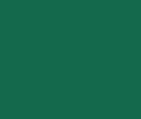 PMS555 Pantone Green Custom Spray Paint Enamel 300 Grams
