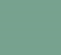 PMS556 Pantone Custom Spray Paint Enamel 300 Grams