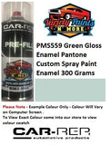 PMS559 Green Gloss Enamel Pantone Custom Spray Paint Enamel 300 Grams
