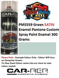 PMS559C Green SATIN Enamel Pantone Custom Spray Paint Enamel 300 Grams 