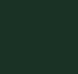 PMS5605 Pantone Custom Spray Paint Enamel 300 Grams