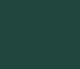 PMS560 Pantone Custom Spray Paint Enamel 300 Grams