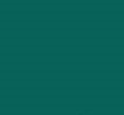 PMS561 Pantone Custom Spray Paint Enamel 300 Grams