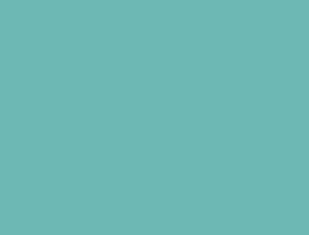PMS563 Pantone Custom Spray Paint Enamel 300 Grams