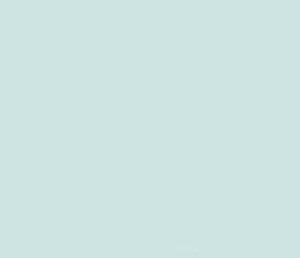 PMS566 Pale Green Pantone Custom Spray Paint 2K DTM 300 Grams
