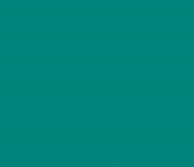 PMS569 Pantone Custom Spray Paint GLOSS Acrylic 300 Grams