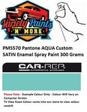 PMS570 Pantone AQUA Custom SATIN Enamel Spray Paint 300 Grams