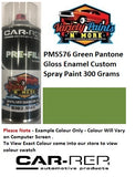 PMS576 Green Pantone Gloss Enamel Custom Spray Paint 300 Grams