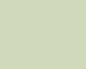 PMS580 Pantone Custom Spray Paint