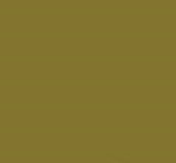 PMS5825 Pantone Custom Spray Paint