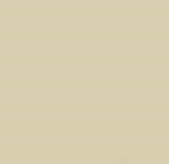 PMS5865 Pantone Custom Spray Paint