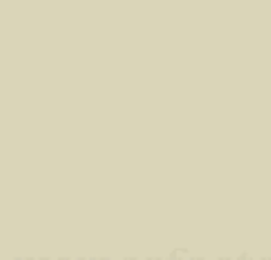 PMS5875 Pantone Custom Spray Paint