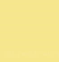 PMS602 Pantone Custom Spray Paint 300 Grams