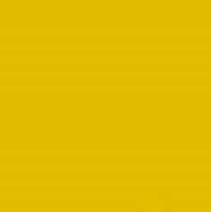 PMS606 Pantone Custom Spray Paint 300 Grams