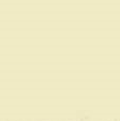 PMS607 Pantone Custom Spray Paint 300 Grams