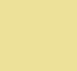 PMS609 Pantone Custom Spray Paint 300 Grams