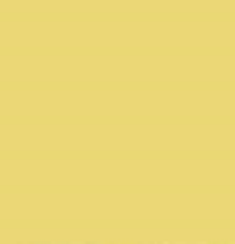 PMS610 Pantone Custom Spray Paint 300 Grams
