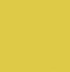 PMS611 Pantone Custom Spray Paint 300 Grams