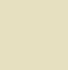 PMS614 Pantone Custom Spray Paint 300 Grams