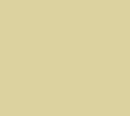 PMS616 Pantone Custom Spray Paint 300 Grams