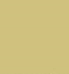 PMS617 Pantone Custom Spray Paint 300 Grams