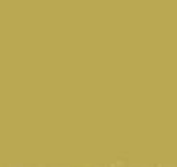 PMS618 Pantone Custom Spray Paint 300 Grams